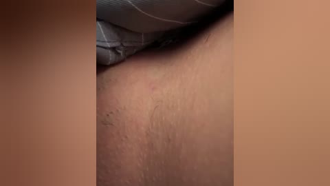 A close-up video of a person's inner thigh, showing light skin with faint hair, and a gray fabric partially covering the lower abdomen. The image is cropped to the central part of the body, focusing on the skin texture and fabric.