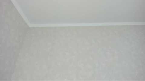 A video of a bare, unfinished wall with a textured, light gray surface. The wall features a white ceiling corner, indicating the room's corner. The image is slightly blurry and lacks distinct details.