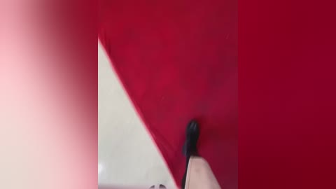 Video of a close-up interior wall corner with red and pink paint, partially obscured by a black paintbrush. The texture of the wall appears smooth and glossy.