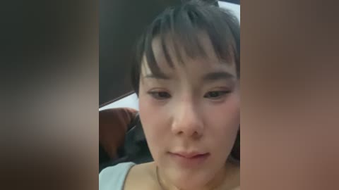 A video of an East Asian woman with short dark hair, pale skin, and light makeup, seated in a car. The image is blurred, with her face in focus.