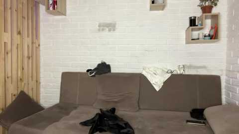 Video of a cozy, modern living room with beige sofa, white brick wall, wooden shelves, and black cat lying on the sofa.
