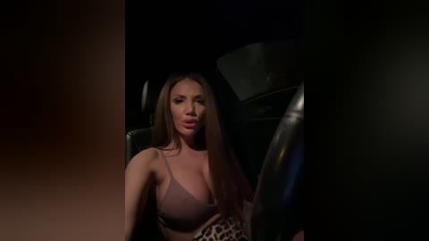A video of a Caucasian woman with long brown hair, wearing a pink bra and leopard-print skirt, sitting in a dark car. She has a slender physique and medium-sized breasts. The background is dimly lit, creating a moody atmosphere.