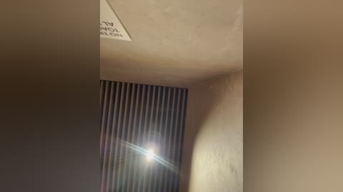 A video of an indoor space with a sunbeam casting a dramatic shadow on a beige wall. The background features vertical blinds, and the ceiling has a light fixture. The image is dimly lit, creating a moody atmosphere.