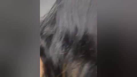 Video of a person with long, wavy, dark hair blowing in the wind, captured in a blurred, grainy style, emphasizing movement and texture. The background is indistinct and out of focus, with a muted color palette.