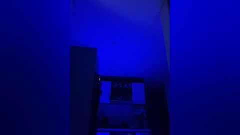 A dimly lit video with a blue hue shows a narrow hallway leading to a doorway. The walls are plain, and a dark object, possibly a door, is slightly open to the right. The scene is somewhat mysterious and minimalistic.