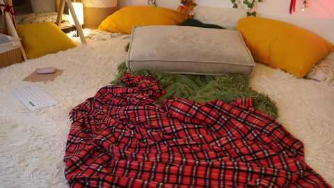 Video of a cozy, circular bed with a fluffy white rug, featuring a red plaid blanket, green throw, yellow and beige pillows, and a soft gray cushion.