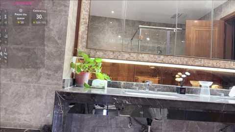 Video of a modern bathroom with a large rectangular mirror, brown marble countertop, potted plant, white towels, and wooden cabinetry, featuring a digital display showing the temperature as 70\u00b0F.