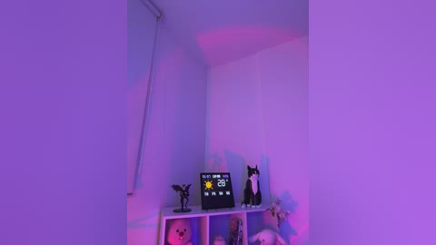 A video of a minimalist, white-walled room bathed in soft purple light, featuring a black cat figurine, a black and white cat figurine, and a small black digital clock displaying \"12:00\" and a sun symbol on a white shelf.
