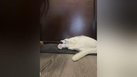 Video of a white cat lying on its side, tongue out, on a wooden floor, with blurred human legs in the background.