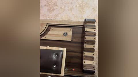 anjalibb free recording from 2025-12-05 00:01:00