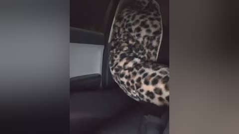 darkdea free recording from 2025-12-05 00:05:00