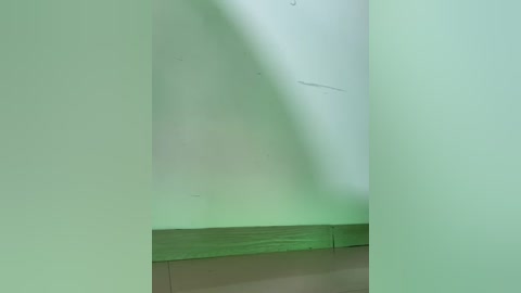 Media: Video of a white, textured ceiling with a faint greenish hue, revealing a water stain. The lower part of the image shows a wooden baseboard and beige tiled floor, suggesting a domestic interior.