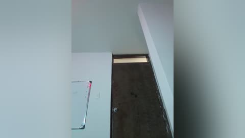 Video of a narrow hallway with white walls and a partially open wooden door. A silver metal plate with a red button is mounted on the left wall.