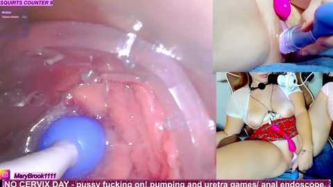 Video of a close-up of a woman's vagina being penetrated with a blue vibrator. Another image shows a woman in a red plaid corset and white panties, using a pink vibrator. Text reads \"MANYVAGINASDAY.\
