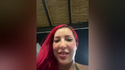 A video of a woman with bright red hair, fair skin, and a slight smile, taken indoors with a wooden ceiling and dark walls.