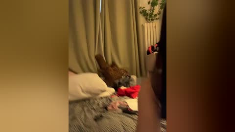 A video captures a chaotic bedroom scene with a person in red clothing sprawled on a bed, surrounded by scattered clothes, a dog, and a plant.