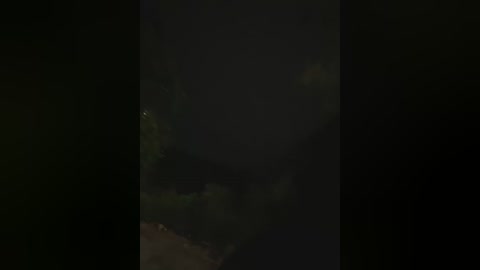 A dimly lit video featuring a dark, dense forest with faint, indistinct shapes and shadows, suggesting a night-time scene with minimal light.