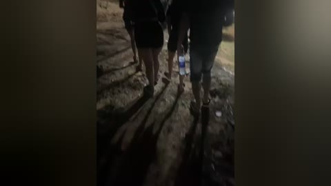 Video of two people walking in a dimly lit, outdoor setting at night. They are wearing dark clothing, and shadows are cast on the dirt ground. The background is indistinct, suggesting a rural or wilderness area.