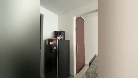 Media: Video of a narrow hallway with white walls, a black refrigerator, a brown door, and a countertop with a sink in the foreground.