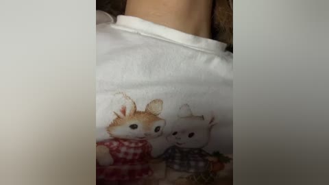 A close-up video of a person wearing a white t-shirt with a whimsical illustration of two cartoon animals: a white rabbit and a white unicorn, both dressed in plaid shirts. The image is slightly blurred.