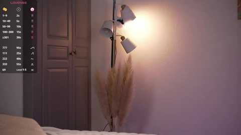 A video of a minimalist room with a white door, beige walls, and a tall, slim floor lamp with a white shade and a bundle of dried pampas grass.