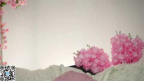 amilewis free recording from 2025-12-05 00:22:00