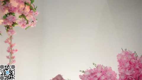 amilewis free recording from 2025-12-05 00:01:00