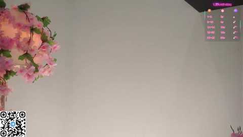 amilewis free recording from 2025-12-05 00:01:00