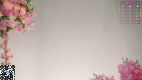 amilewis free recording from 2025-12-05 00:01:00