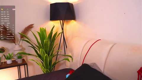 Video of a modern living room corner with a beige sofa, black lamp, potted green plant, and colorful pillows.