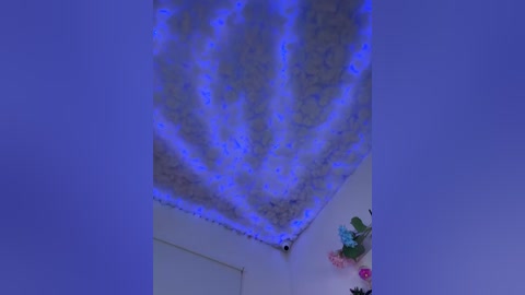 helen_vidall free recording from 2025-12-05 00:01:00