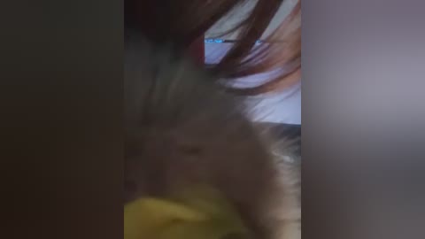 honey_wanning free recording from 2025-12-05 15:28:00