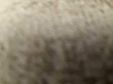 netflisex free recording from 2025-12-05 06:23:00