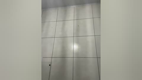 rayssabjj free recording from 2025-12-05 01:55:00