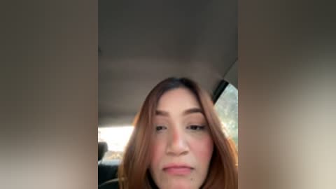 Video of a young woman with light skin, brown hair, and a neutral expression, seated in a car. The background shows a blurry, sunlit outdoor scene through the window.