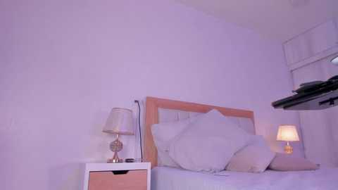 mia_hank free recording from 2025-12-06 00:49:00