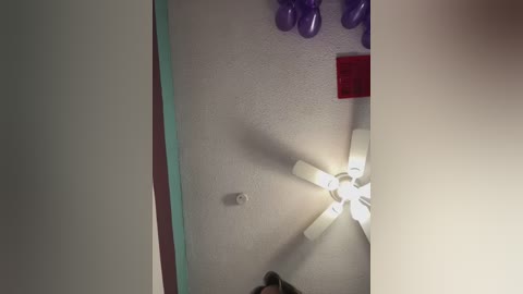 myhoneyfrida free recording from 2025-12-06 00:52:00