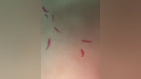 rinamay_ free recording from 2025-12-06 00:24:00