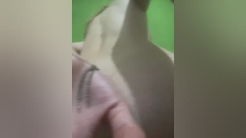 laysfregd2025 free recording from 2025-12-07 00:39:00