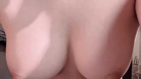 lt_333 free recording from 2025-12-07 00:09:00