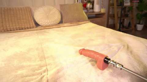 sary_hott free recording from 2025-12-07 00:28:00