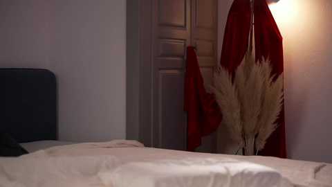 vika54784 free recording from 2025-12-07 00:26:00