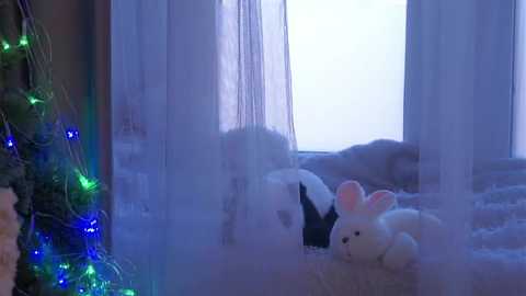 Video of a cozy, softly lit room with a white teddy bear and a blue and green string of fairy lights beside a snow-covered Christmas tree, creating a serene winter holiday ambiance.