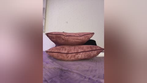 Video of two plush, brown velvet throw pillows stacked on a purple quilted bedspread in a dimly lit room with white vertical blinds in the background.