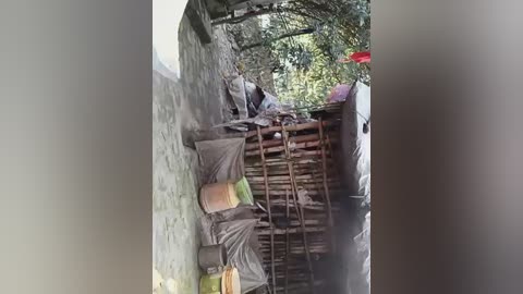 A video shows a narrow, dirt alley with a stone wall on the left and a makeshift bamboo structure on the right, partially covered by a tarp. The setting appears rural with lush greenery in the background.