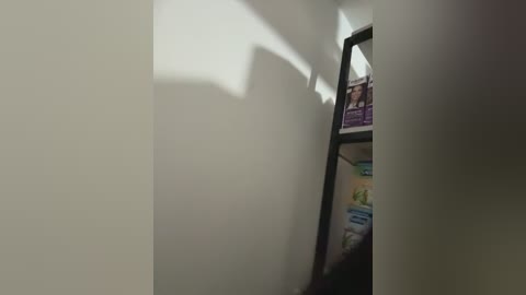 indialatin free recording from 2025-12-08 00:27:00