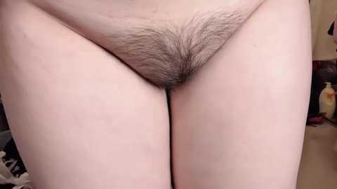 lt_333 free recording from 2025-12-08 00:27:00