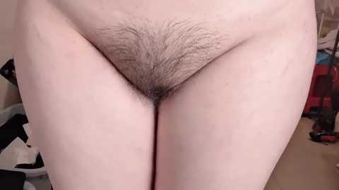 lt_333 free recording from 2025-12-10 00:04:00