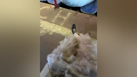 meii_meyy free recording from 2025-12-08 00:37:00