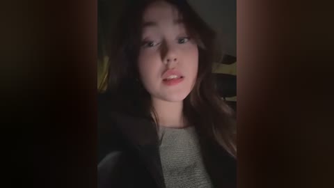 Media: Video of a young woman with long, wavy brown hair, wearing a gray sweater, sitting in dimly lit room with blurred background.